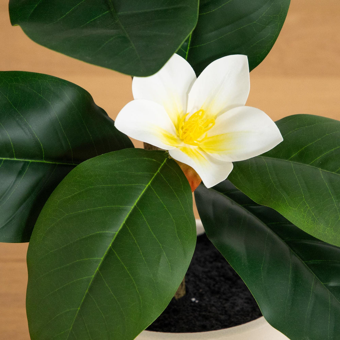 magnolia woven wall planter 4' Artificial Minimalist Magnolia Tree in Decorative Planter – Nearly Natural