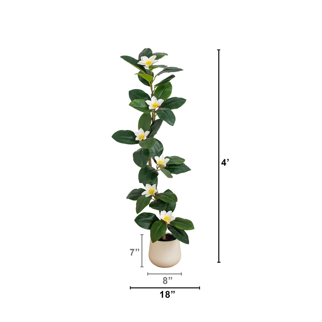 magnolia plant pots 4’ Artificial Minimalist Magnolia Tree in Decorative Planter