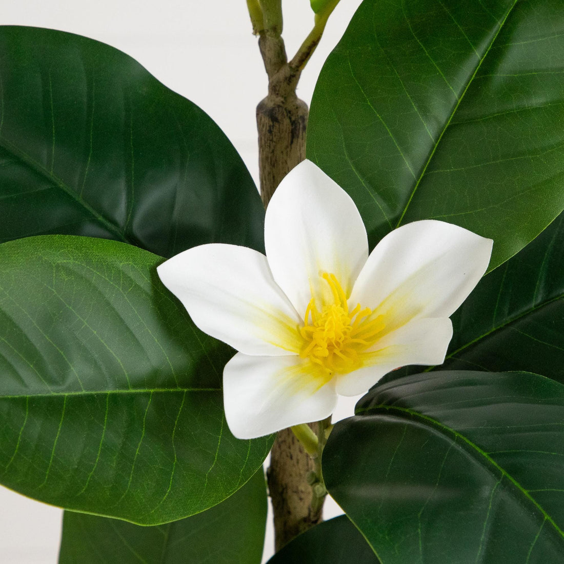 magnolia hanging planter 4’ Artificial Minimalist Magnolia Tree in Decorative Planter