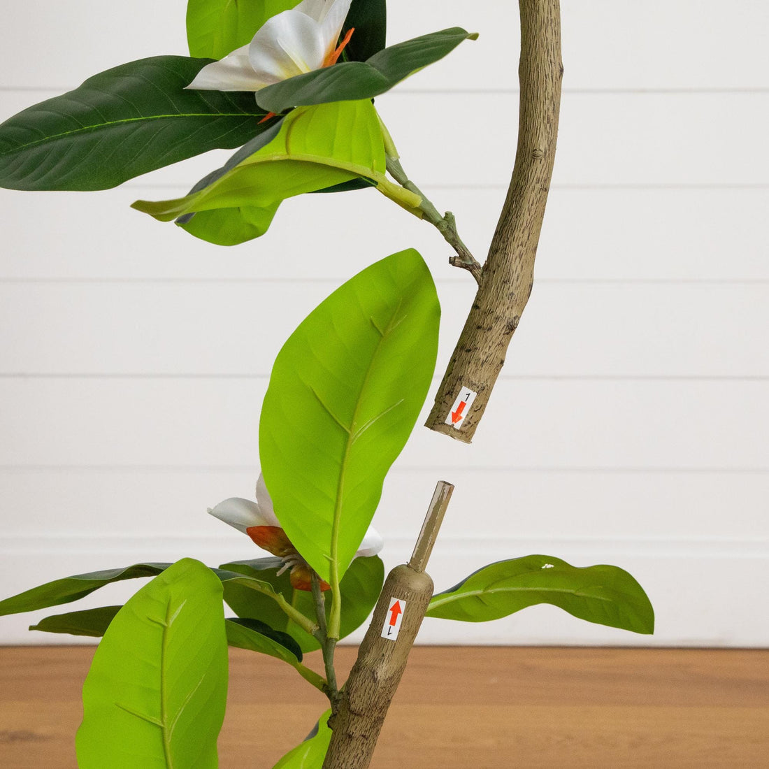magnolia rubber tree 4' Artificial Minimalist Magnolia Tree in Decorative Planter – Nearly  Natural