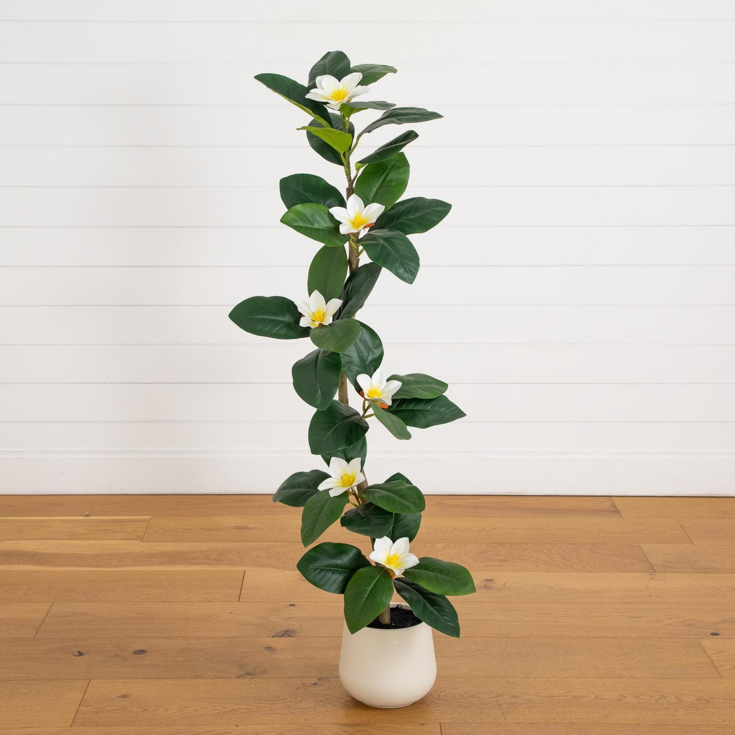 magnolia hanging planter 4’ Artificial Minimalist Magnolia Tree in Decorative Planter