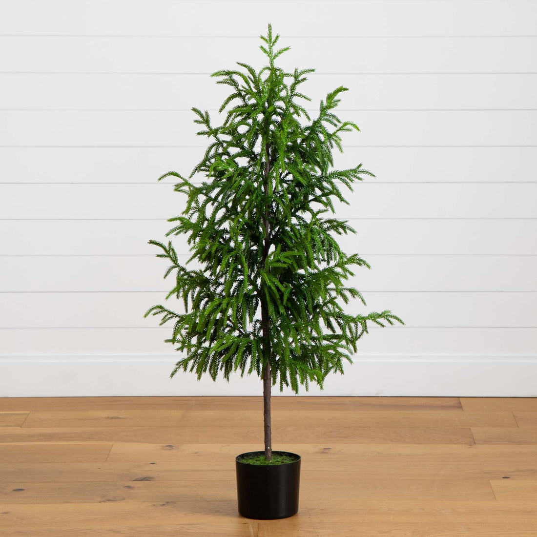 fir tree indoor plant 4' Artificial Norfolk Pine Tree