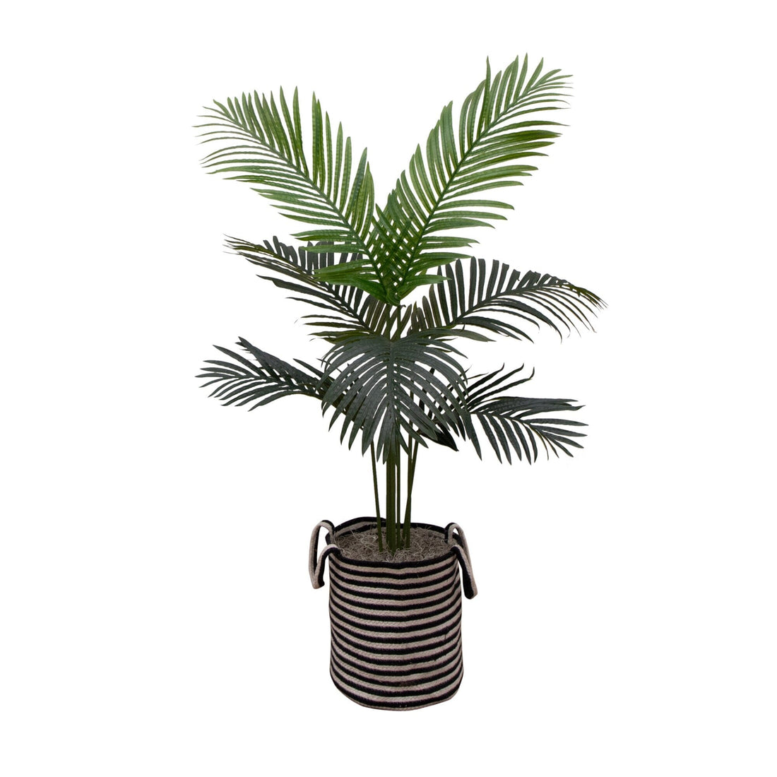 striped palm plant 4' Artificial Paradise Palm in Black and White Striped Basket