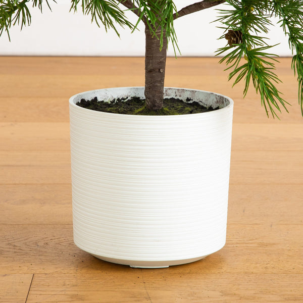 4' Artificial Real Touch Christmas Pine with Pinecones in White Decorative Planter