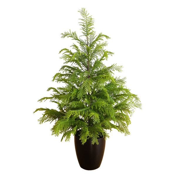 4' Artificial Real Touch Goldcrest Christmas Tree with in Black Decorative Planter