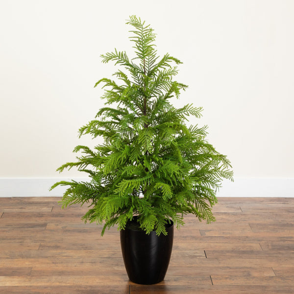 4' Artificial Real Touch Goldcrest Christmas Tree with in Black Decorative Planter