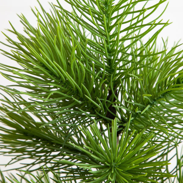4' Artificial Real Touch Masson Pine Christmas Tree in White Decorative Planter