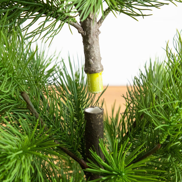 4' Artificial Real Touch Masson Pine Christmas Tree in White Decorative Planter