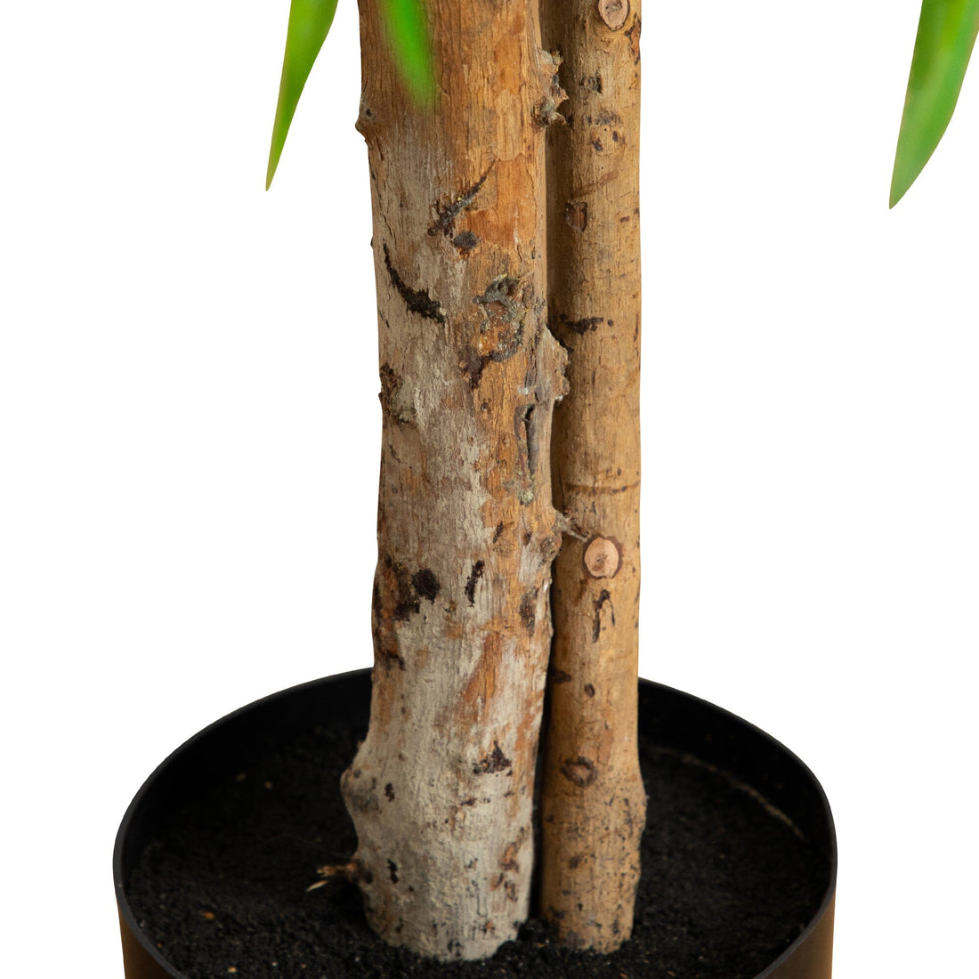 money tree trunk peeling 4' Artificial Willow Tree (Real Touch)