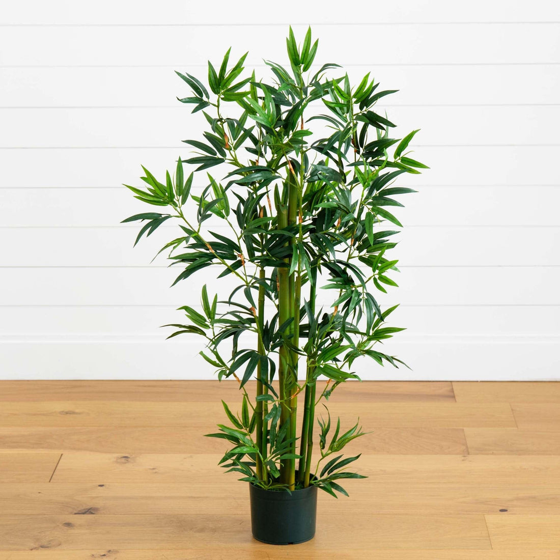 house bamboo plants 4' Bamboo Silk Plant