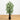 4’ Black Bamboo Tree