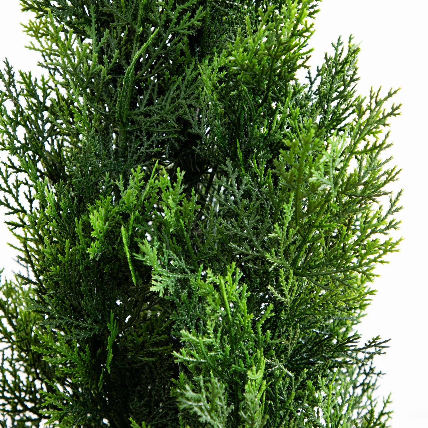 4' Cedar Tree Silk Tree (Indoor/Outdoor)