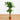 4' Corn Stalk Dracaena Silk Plant (Real Touch)