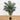 4’ Double Stalk Golden Cane Artificial Palm Tree