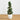 4’ English Ivy Topiary Tree in White Oval Planter UV Resistant (Indoor/Outdoor)