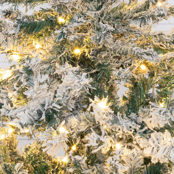 4' Flocked Rock Springs Spruce Artificial Christmas Tree with 100 Clear LED Lights