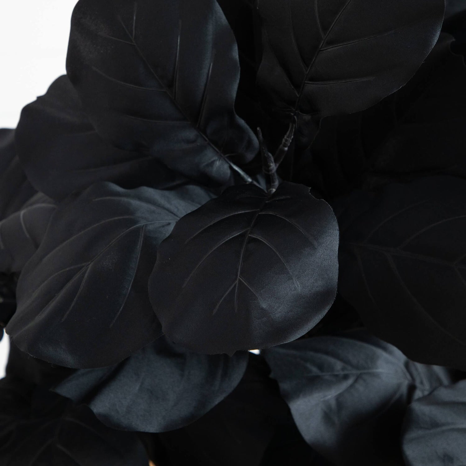 4' Artificial Halloween Black Fiddle Leaf Tree