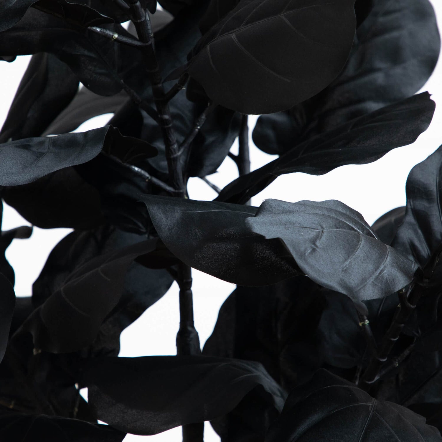 4' Artificial Halloween Black Fiddle Leaf Tree