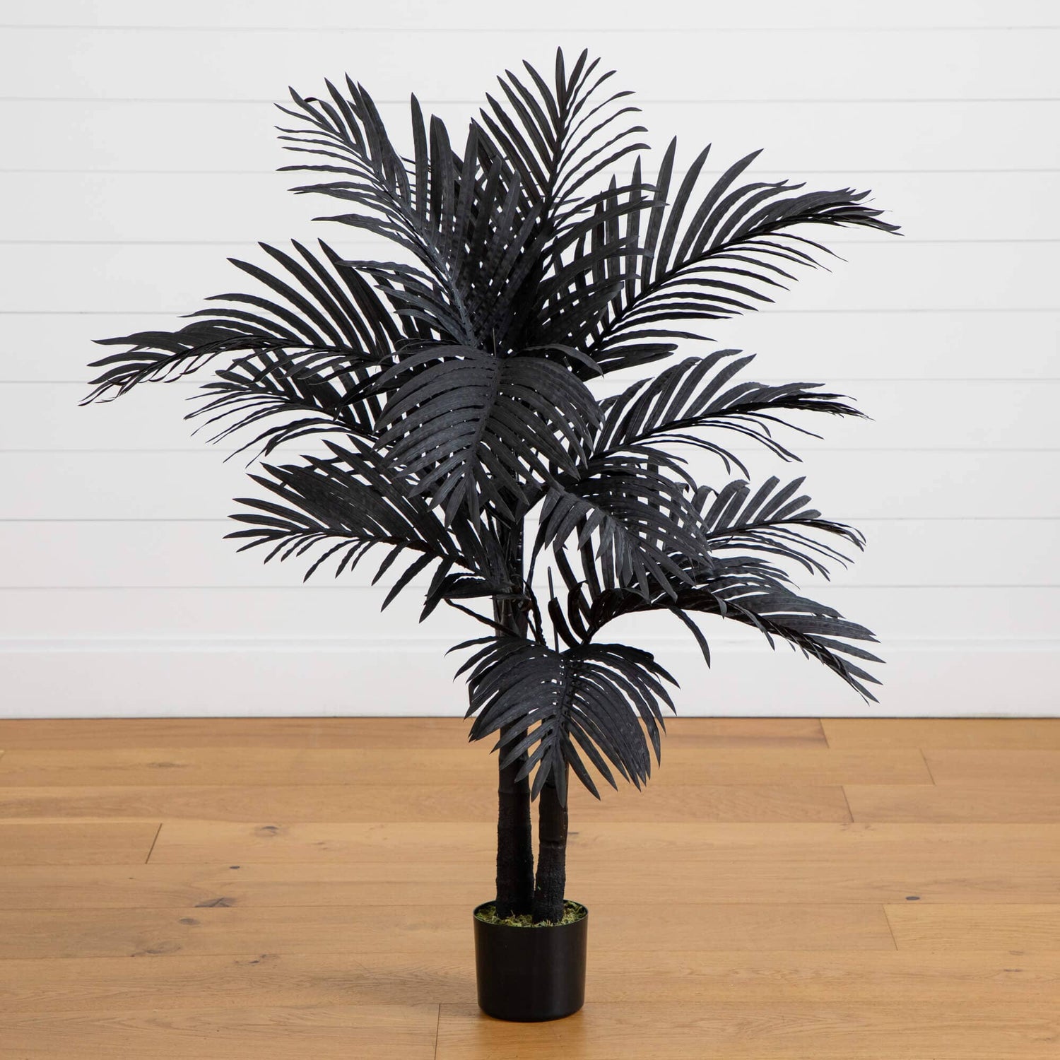 4' Artificial Halloween Black Golden Cane Tree