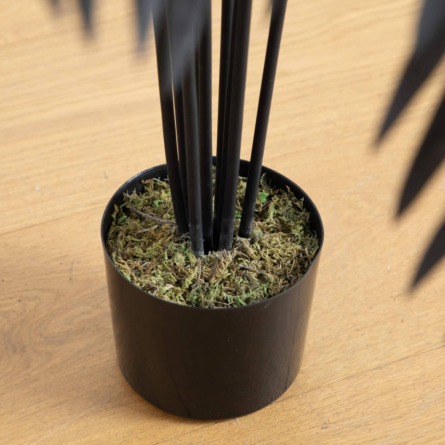 4' Artificial Halloween Black Paradise Palm Tree