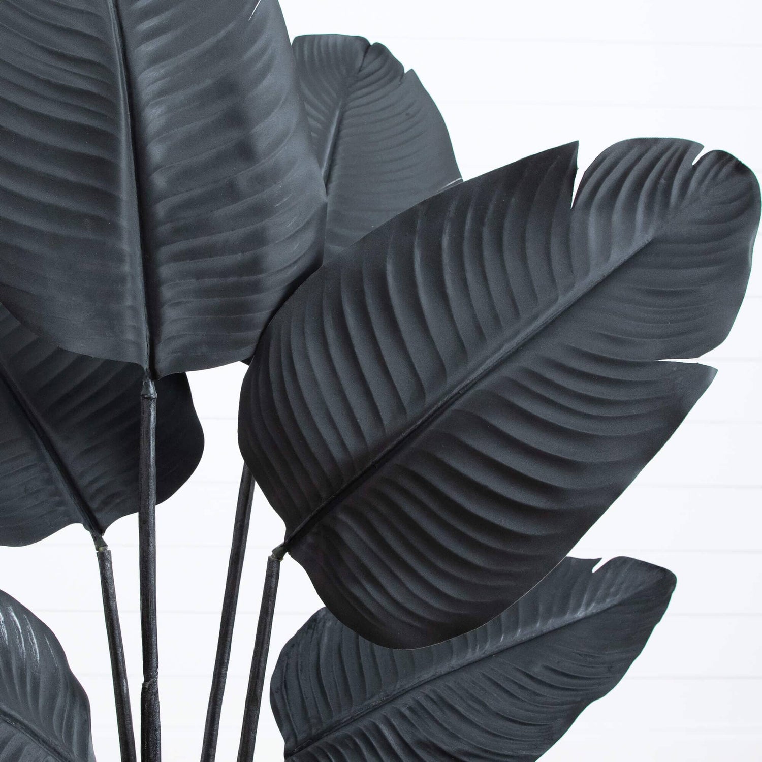 4' Artificial Halloween Black Travelers Palm Tree