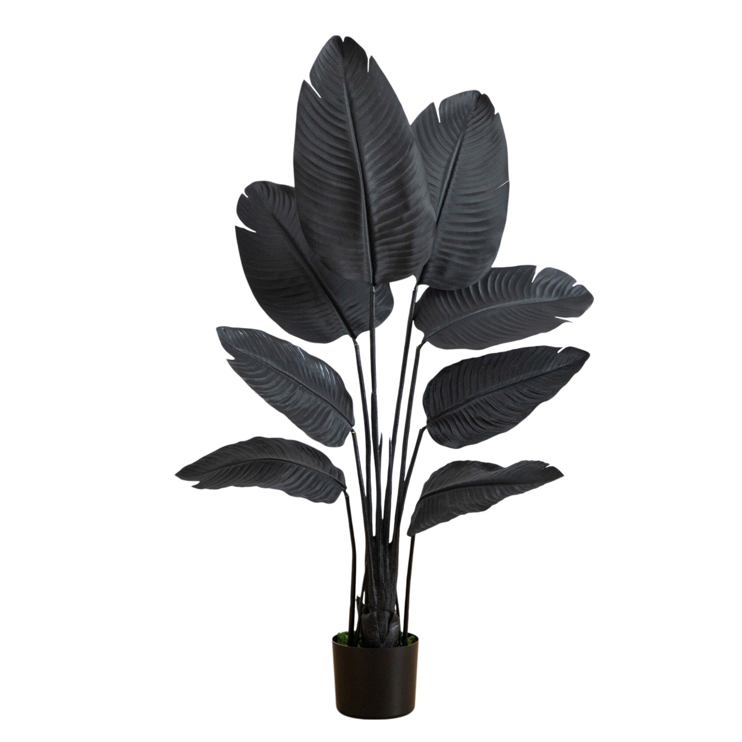 4' Artificial Halloween Black Travelers Palm Tree