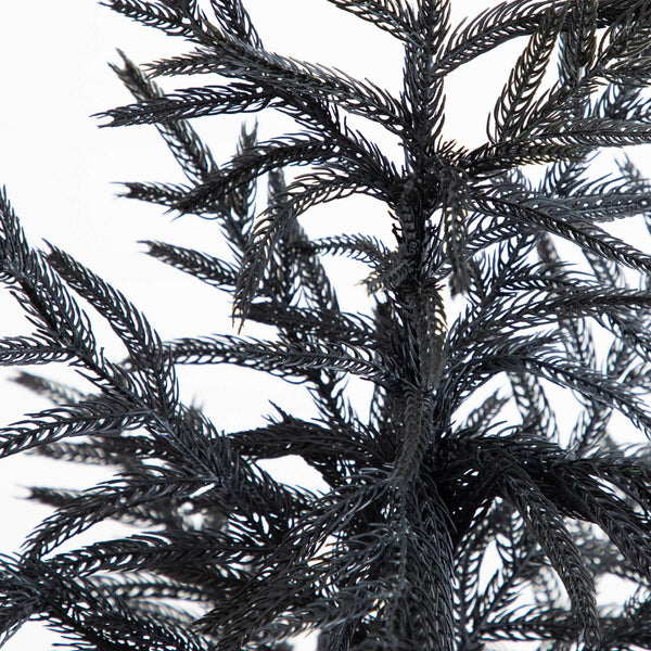 4' Artificial Halloween Real Touch Black Norfolk Pine Christmas Tree with Natural Look