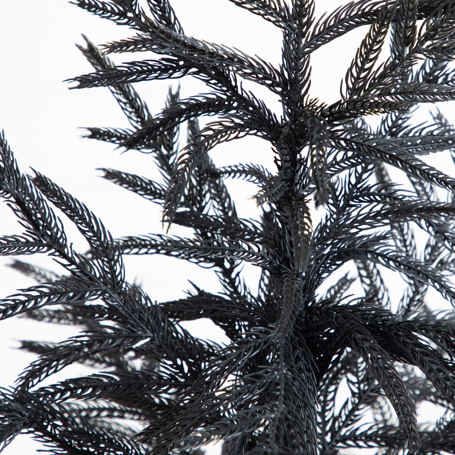 4' Artificial Halloween Real Touch Black Norfolk Pine Christmas Tree with Natural Look