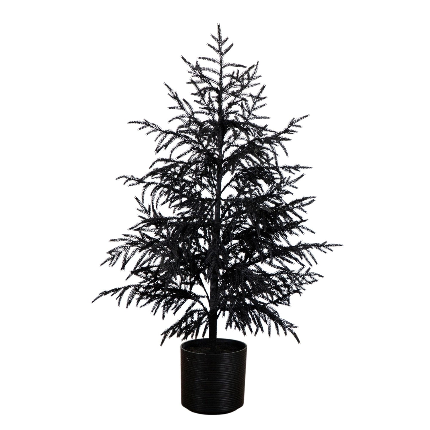 4' Artificial Halloween Real Touch Black Norfolk Pine Christmas Tree with Natural Look