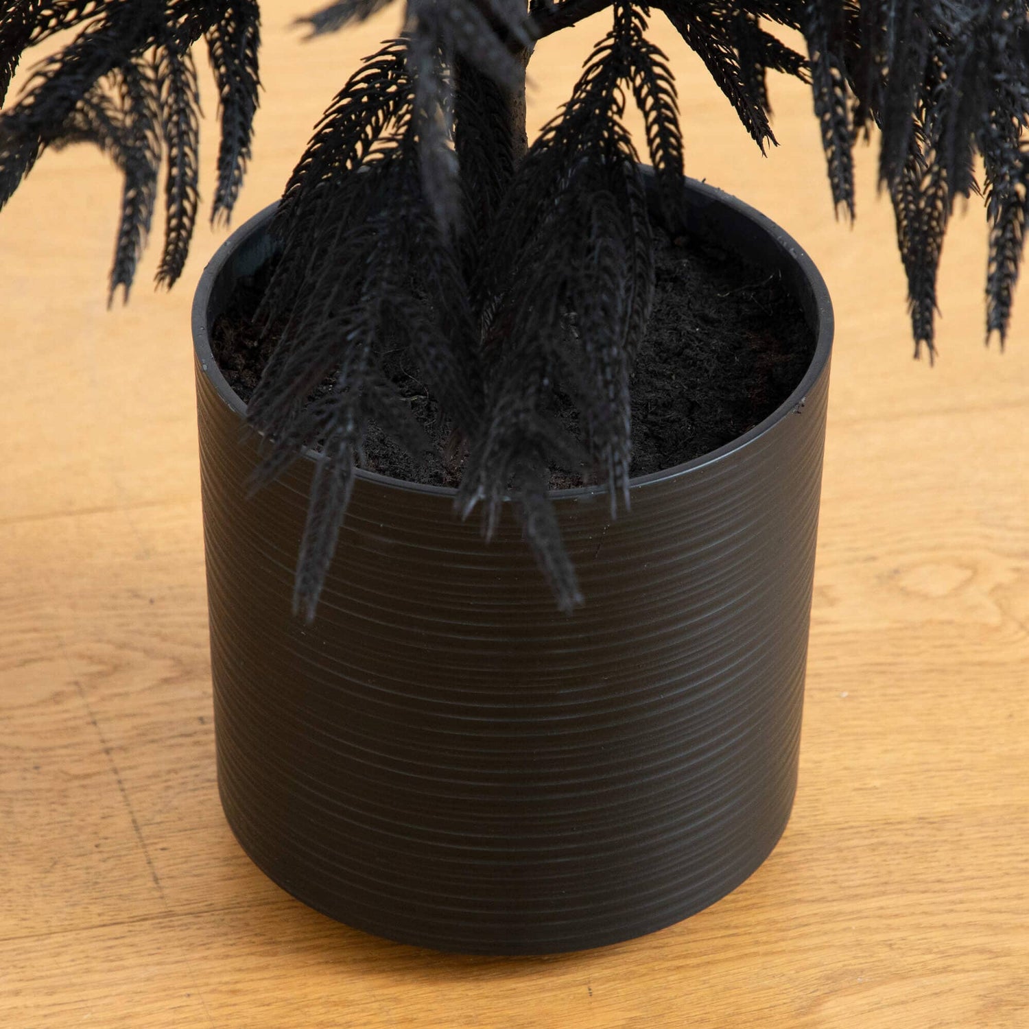 4' Artificial Halloween Real Touch Black Norfolk Pine Christmas Tree with Natural Look