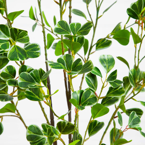 4' Artificial Heart Shaped Ficus Leaf Tree