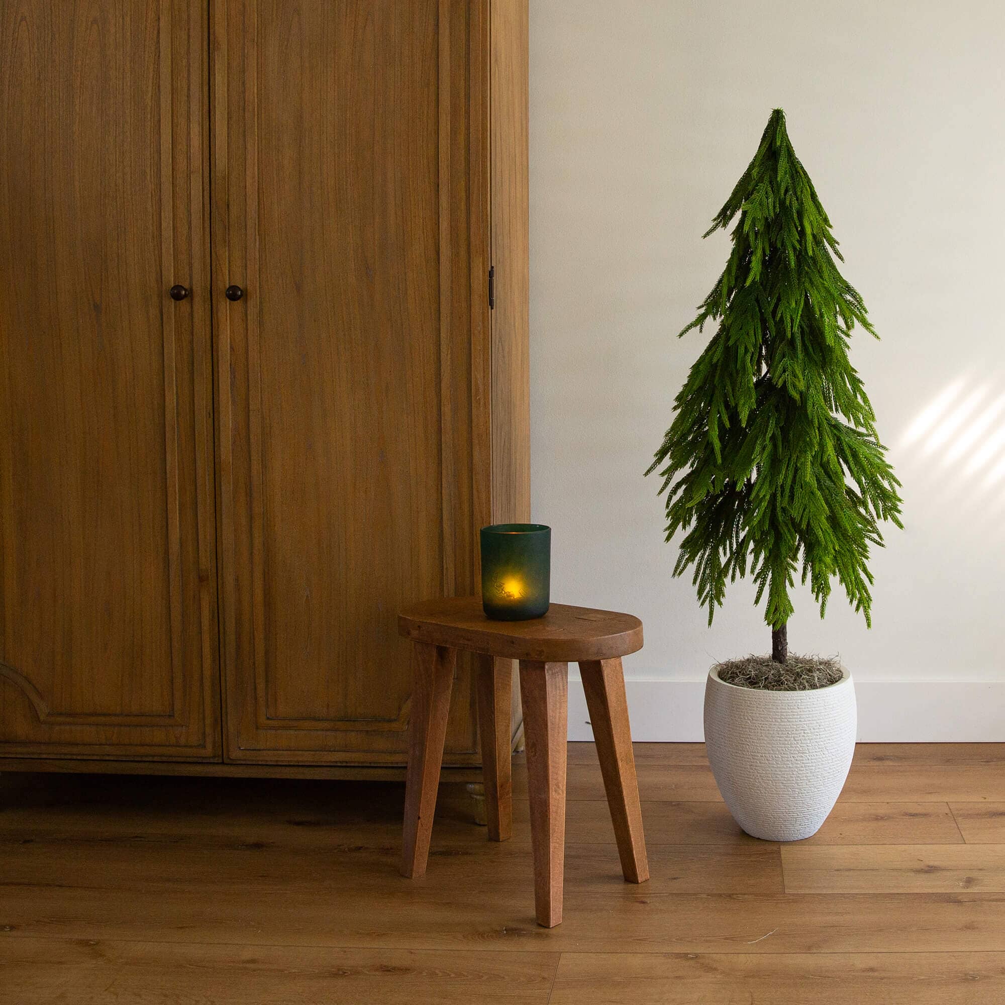 4' Artificial Real Touch Down Swept Norfolk Pine Tree with Natural