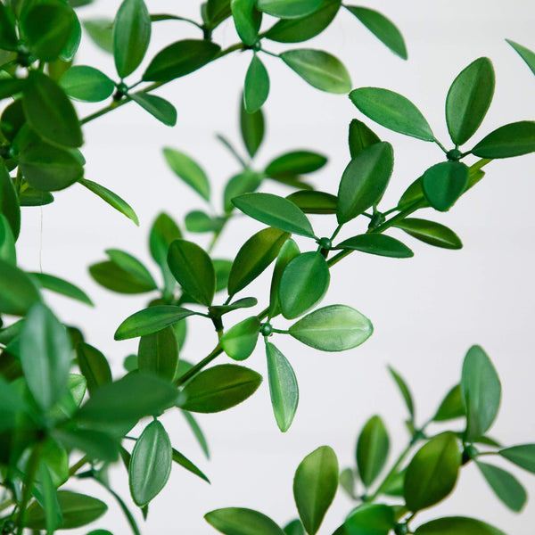 4' Artificial Shady Lady Black Olive Tree
