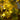 4' Pre-Lit Green Autumn Oak Artificial Fall Tree with 150 Warm White LED Lights