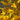 4' Pre-Lit Yellow Autumn Maple Artifical Fall Tree with 150 Warm White LED Lights