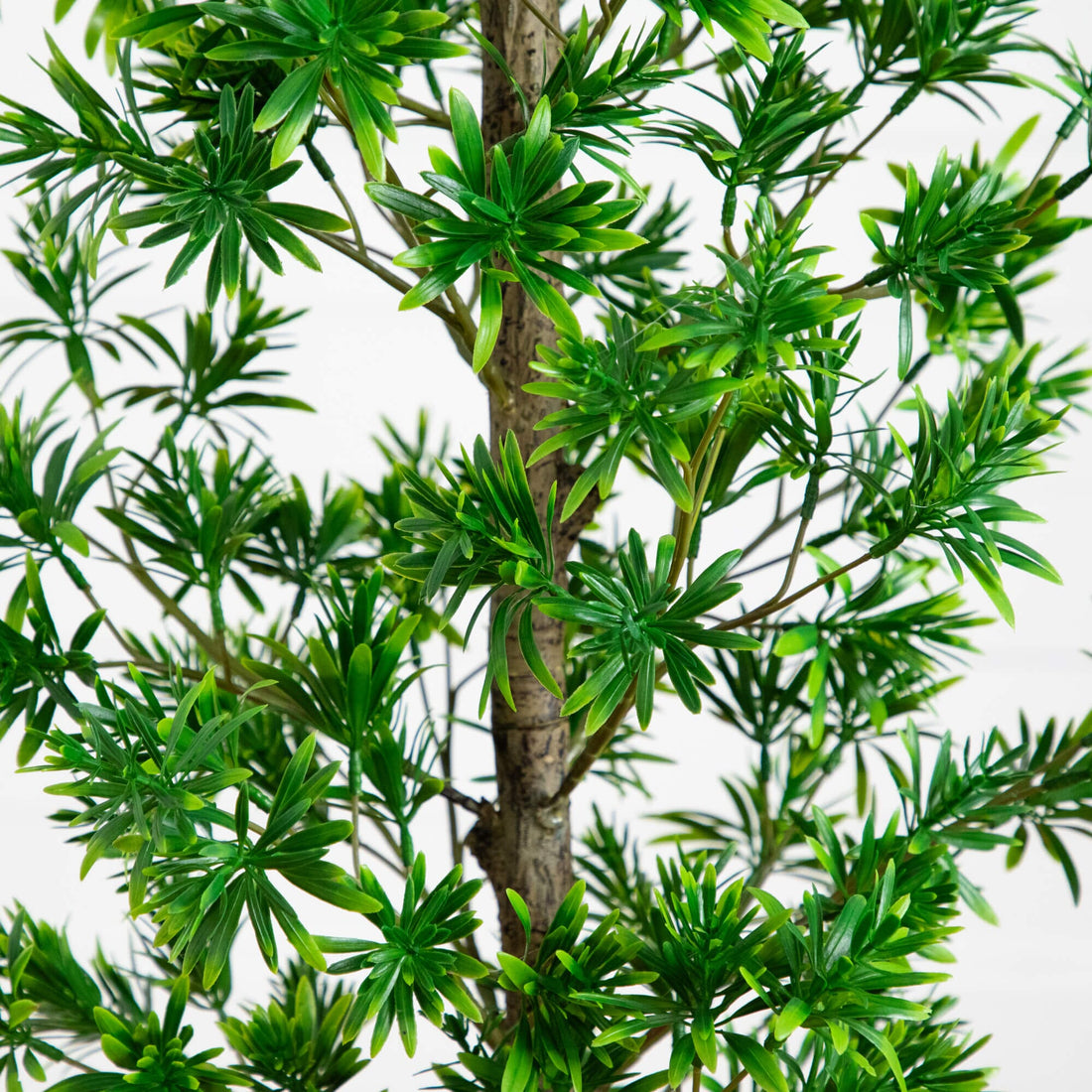 podocarpus zimmerpflanze Nearly Natural 4 ft. UV Artificial Podocarpus Artificial Tree (Indoor/Outdoor)