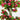 4' UV Resistant Artificial Azalea Tree (Indoor/Outdoor)
