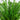 4' UV Resistant Artificial Real Touch Boston Fern Plant (Indoor/Outdoor)