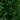 4-ft UV Resistant Artificial Cedar Plant with Integrated Ground Stake (Indoor/Outdoor) - Set of 2