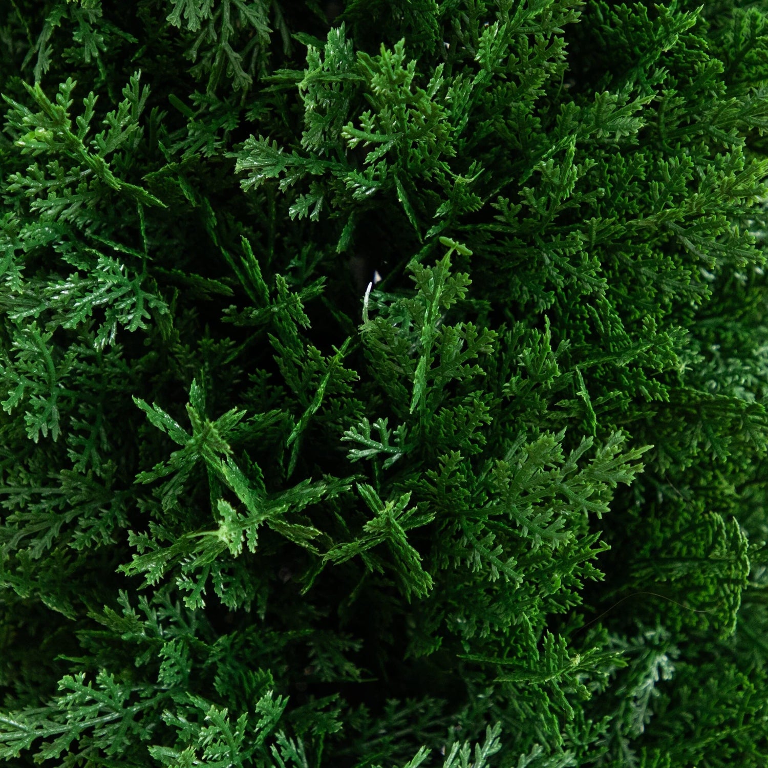 4' UV Resistant Artificial Cedar Plant with Integrated Ground Stake (Indoor/Outdoor) - Set of 2
