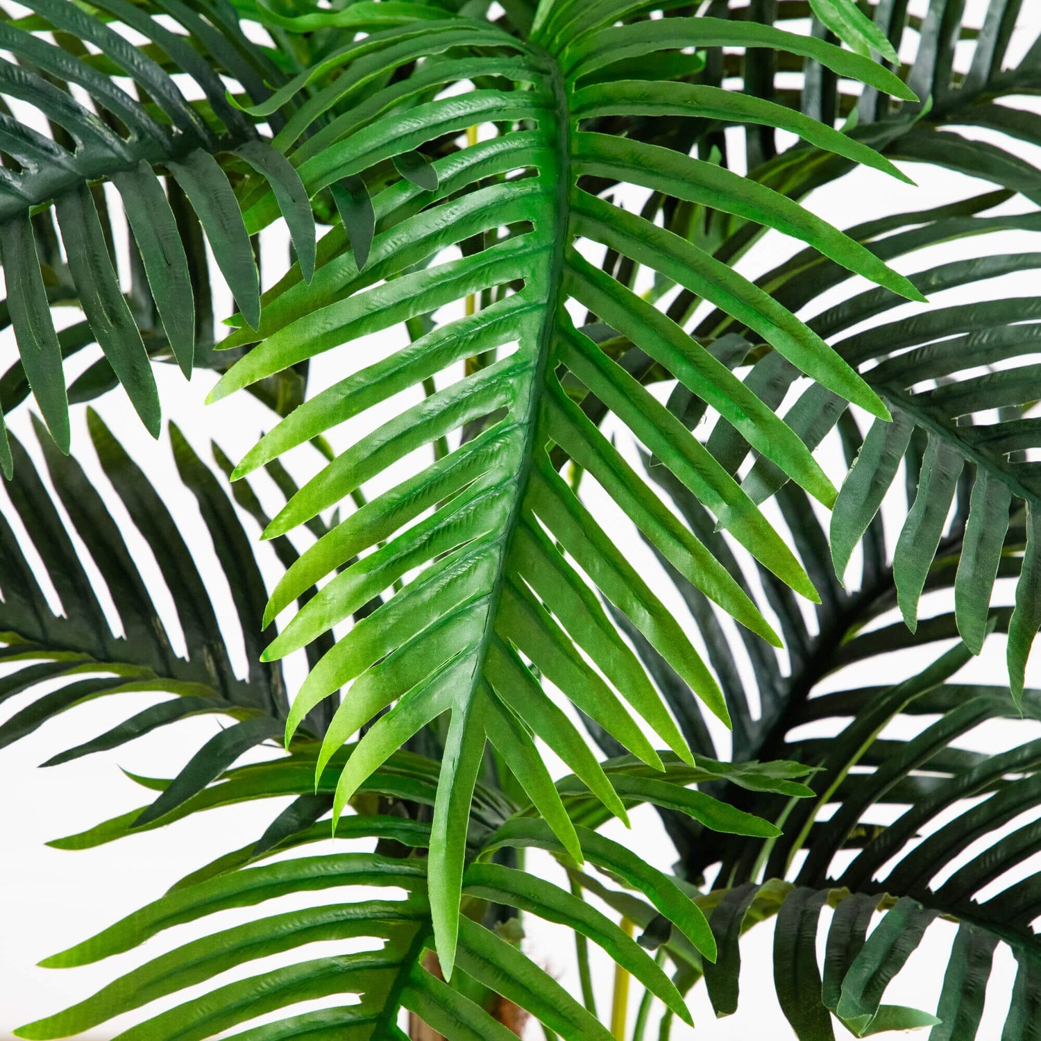 4' UV Resistant Artificial Double Robellini Palm Tree (Indoor/Outdoor)