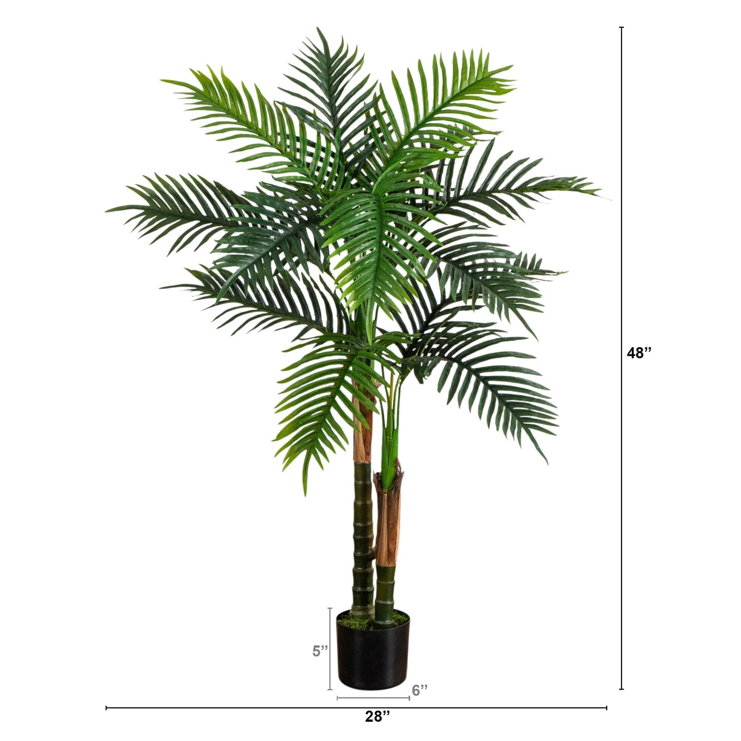 4' UV Resistant Artificial Double Robellini Palm Tree (Indoor/Outdoor)