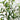 4’ Olive Artificial Tree