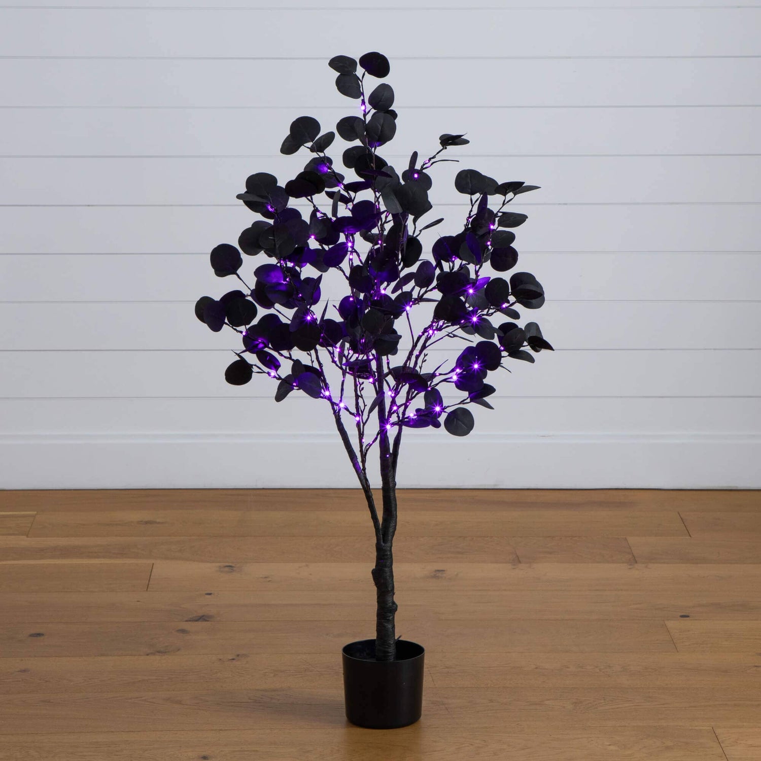 4' Pre-Lit Artificial Halloween Black Eucalyptus Tree with 160 Orange & Purple LED Lights