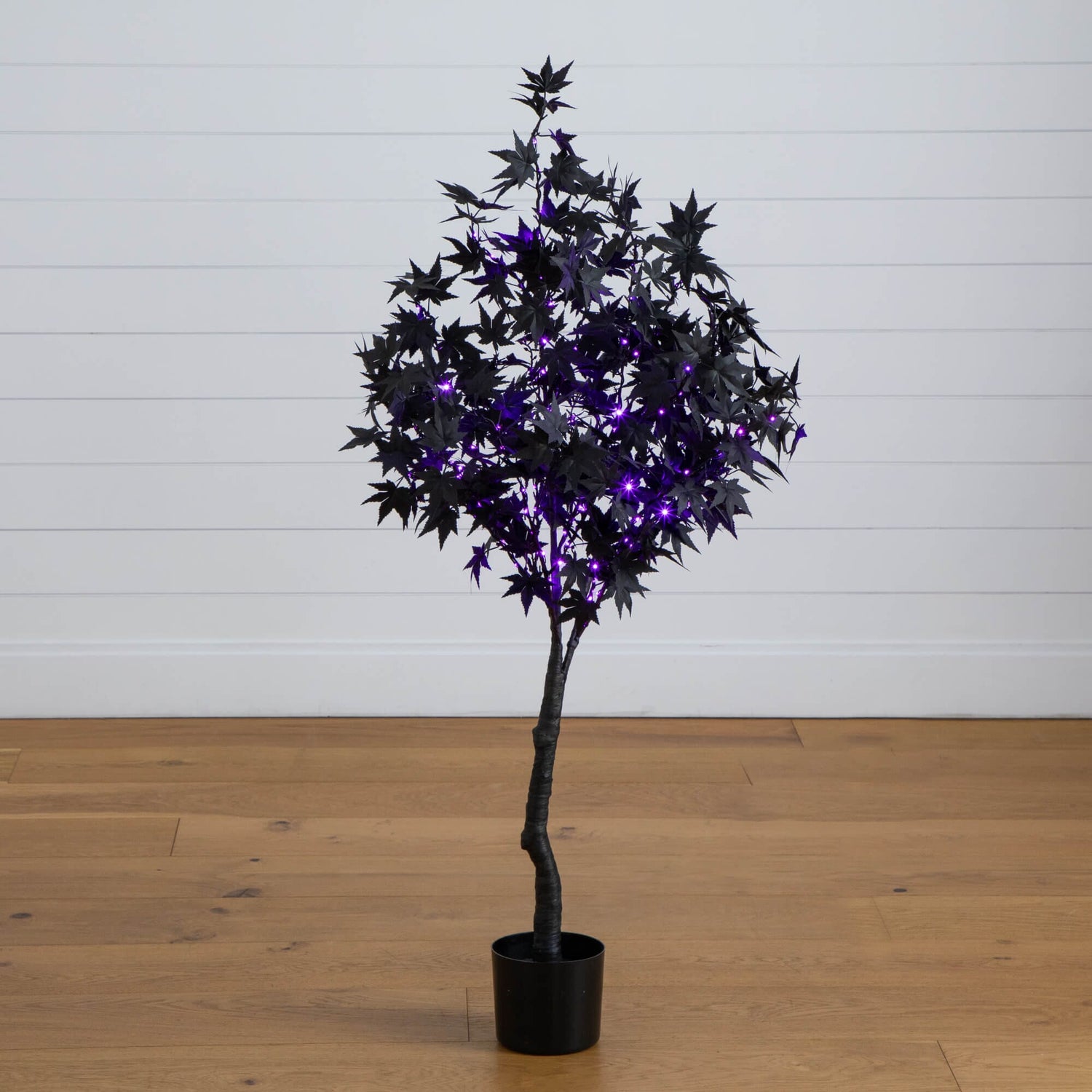 4' Pre-Lit Artificial Halloween Black Maple Tree with 180 Orange & Purple LED Lights