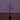 4' Pre-Lit Artificial Halloween Black Spooky Twig Tree with Bats and 120 Orange & Purple LED Lights