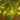 4’ Pre-Lit Artificial Snowed Cypress Christmas Tree with 120 LED Lights in Hyacinth Basket