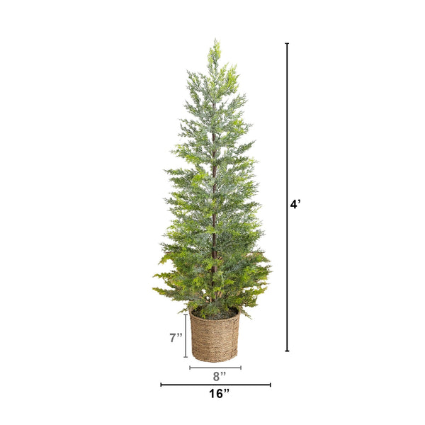 4’ Pre-Lit Artificial Snowed Cypress Christmas Tree with 120 LED Lights in Hyacinth Basket