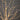 4’ Pre-Lit Artificial White Birch Tree with 240 Color Changing LED Lights