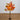 4' Pre-Lit Shades of Autumn Maple Artificial Fall Tree with 180 Warm White LED Lights